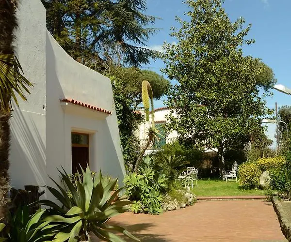 Quinta Maria