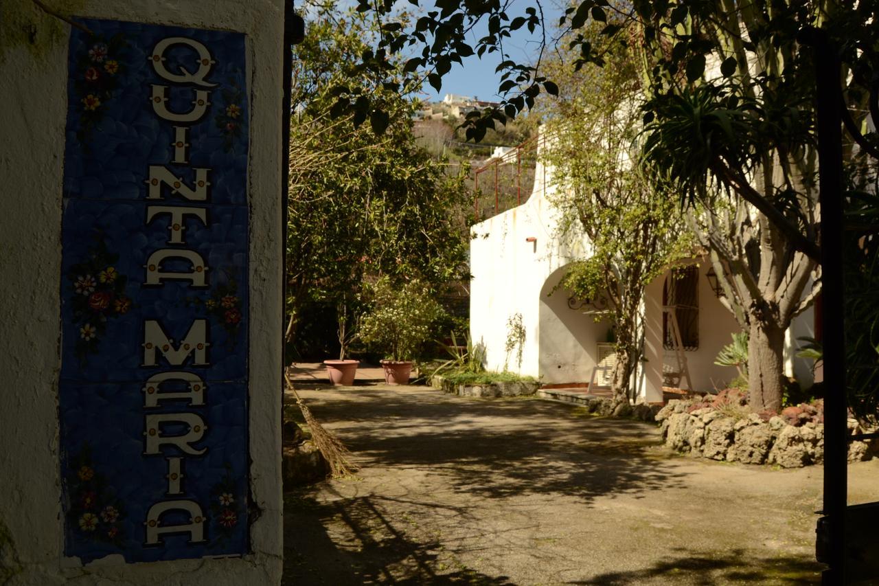 Affittacamere Quinta Maria