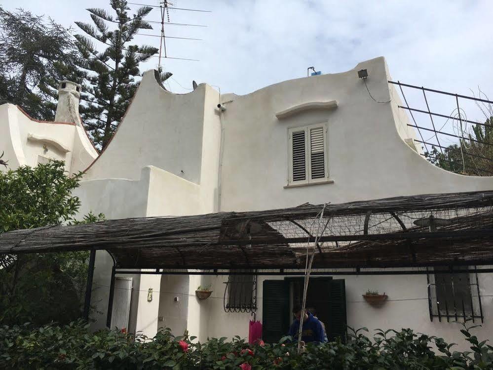 Quinta Maria